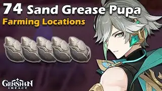 All 74 Sand Grease Pupa Farm Route Locations ( Lokasi Farming ) Genshin Impact Alhaitham Material