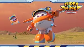 A Very Special Concert | Super wings season 5 | Super wings super pets | EP14