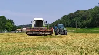 Zab aratás 2022 🌾 ( Claas Medion 340 & Fendt 514 Vario + EB7 )