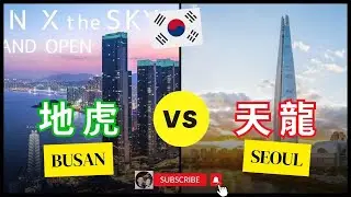 韓國天龍與地虎 | 首爾與釜山 #大田 #首爾 #釜山