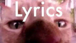 One bad gloop full version LYRICS