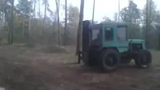 Кара в действии