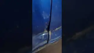 Ярис осмотр повреждений после дтп