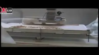 Мостовая пила по камню EMMEDUE "DISCOVERY 4 AXIS"