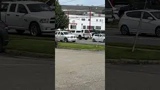 Городские гуси 🪿, короли Канады.