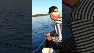Лучше чем щука!