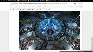 Video 8: Introduction markdown formatting - images