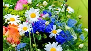 Мои фавориты лета   1 часть