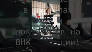 Новые правила подачи на ВНЖ в Турции в 2024 году.