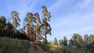 Санаторий 
