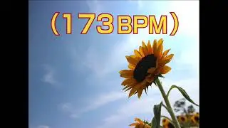 173BPM Running Music (170 - 190bpm) Pachelbel's Canon in Various Tempos - Classical for Your Workout