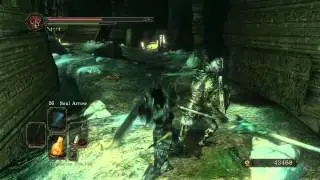 Dark souls 2 - How to find Denial and TWoP