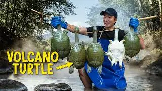 Inside the Hot Spring Turtle Factorys Feeding Japan’s Elite