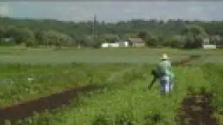 Farm