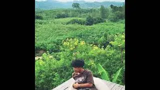pY-1 - นางฟ้าคืนถิ่น ( SPEED UP ) ( Official Audio )