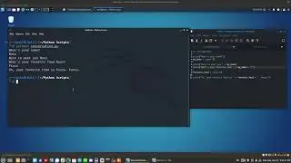 Using Python to create a conversation in the terminal.