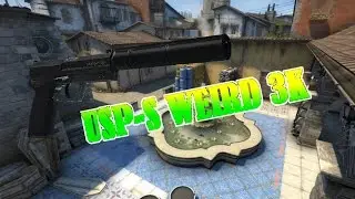 SICK CRAZY USP-S 3K