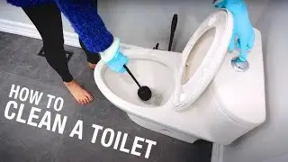 Your bathroom clean and smelling for many days