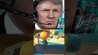 Trump and Biden play Animal Crossing