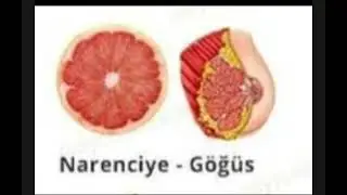 HANGİ BESİN HANGİ ORGANA BENZİYOR