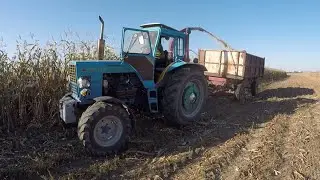 Як ми кукурудзу на силос косили однорядним комбайном та МТЗ 80.