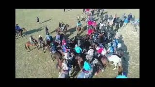 Араншы Мамырбай ақсақалдың тұлпарлары