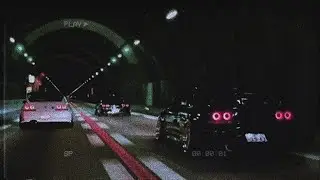 NEVORAH - Perro De Pelea ❌ PHONK