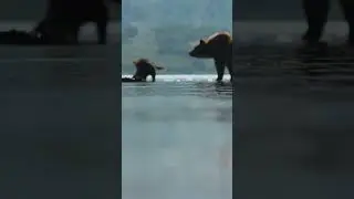 КАМЧАТКА! #камчатка