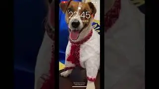 Последний  день лета