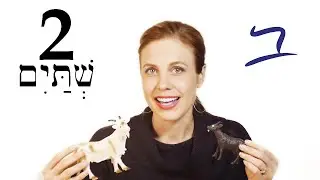 Hebrew - Plural Nouns & Adjectives - Free Biblical Hebrew - Lesson 2