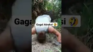 Video Lucu Bikin Ngakak #shorts #videolucuterbaru