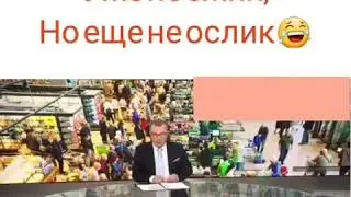 Уже не ёжик но ещё не осёл