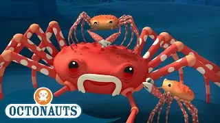 ‪@Octonauts‬