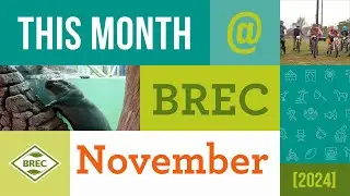 This Month at BREC- November 2024