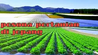 intip pertanian di Jepang dan lingkungan di sekitar