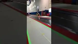 Gymnastics Ankle Injury
