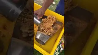 Ayam Gunting Viral Kudapan petang 🤤
