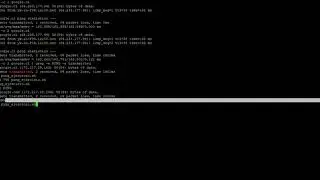Bash & Ping