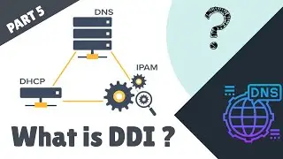 What is DDI NETWORKS FOR WEB DEVELOPERS [