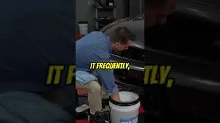 The ONLY method you need for bug removal!
