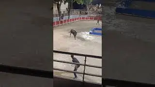 Toro piscine Garons 2024