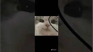 107 секунди потратив