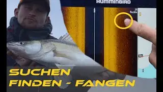 Suchen - Finden - Fangen! So nutze ich mein Echolot