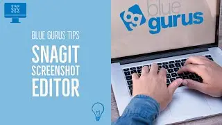 Snagit. One of the best screenshot programs out there.