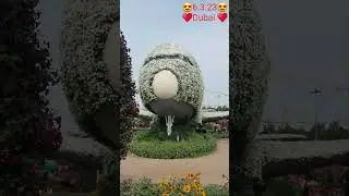 😍Парк чудес 😍 Дубай 2023 Dubai  miracle garden ♥️ גן פרחים של דובאי ♥️