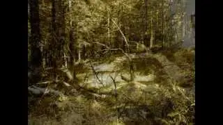 Derelict earth - and so fell the last leaves....