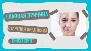 Главная причина старения организма. Окислительный стресс. Биохакинг.