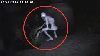 Most Mysterious Creatures Ever Caught On Camera | Mega Comp V1