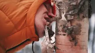 Кусь!
