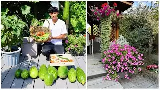 EPIC GARDEN HARVEST! Take A Tour Of Our Vegetable Garden